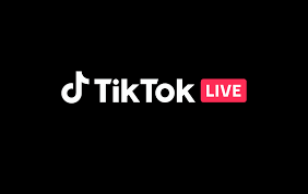 TikTok LIVE Gift Card 50000 IDR [210 Coins]