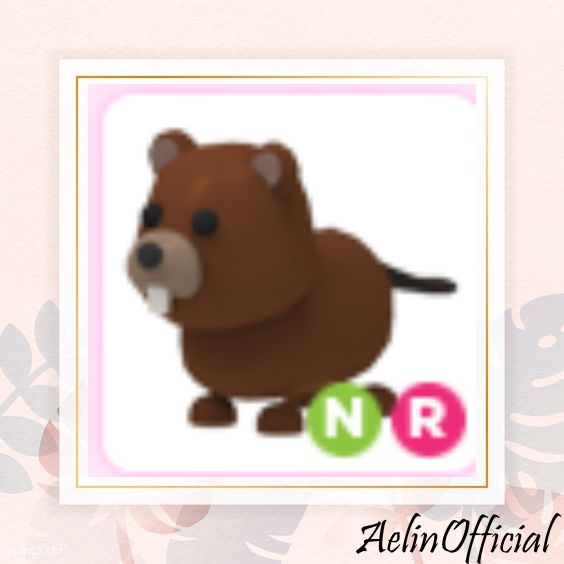 Beli Item Adopt Me NR Beaver Adopt me Roblox Terlengkap dan Termurah