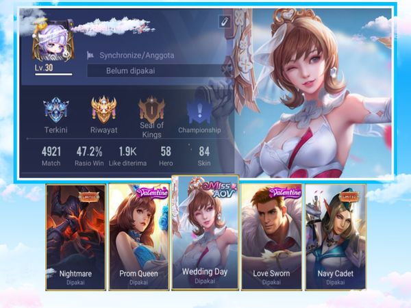 Cheap AOV Account { Hero 58 Skin 84 }