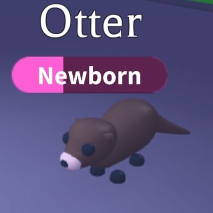 Beli Item Otter Adopt me Roblox Terlengkap dan Termurah April 2024