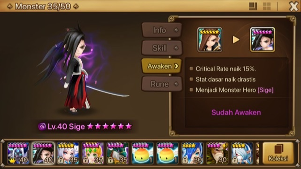 STARTER LND DARK SIGE AND SHIZUKA