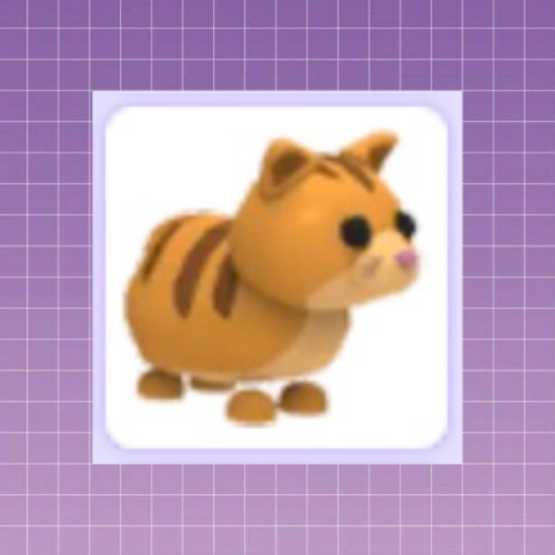Beli Item Adopt Me Ginger Cat Adopt Me Roblox Terlengkap dan Termurah