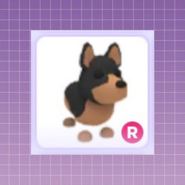 Beli Item Adopt Me Australian Kelpie R Adopt Me Roblox Terlengkap dan