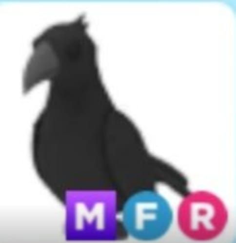 Beli Item Crow Mega Fly Ride Roblox Terlengkap dan Termurah Oktober ...