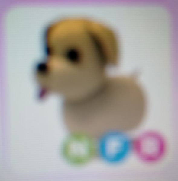 Buy Item Dog NFR Adopt me Roblox 1391911 itemku