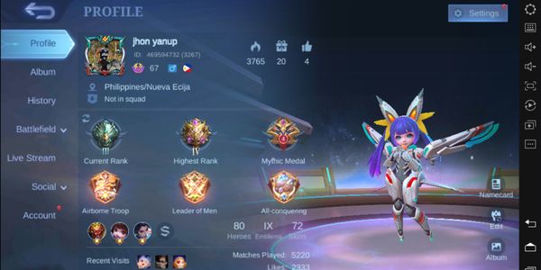Hero 80 Emblem ALL MAX + Epic Nana + Special Diggie DLL