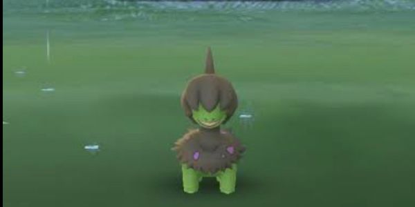 Shiny DEINO