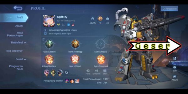 NICE SKIN ML ACCOUNT