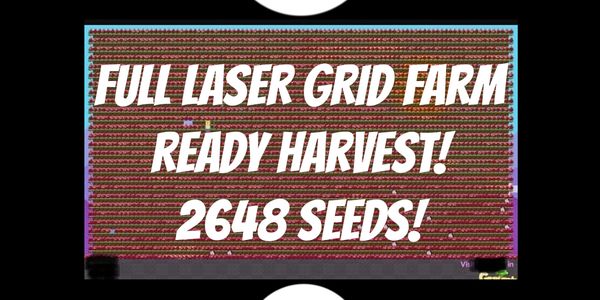 Full Laser Grid Farm (Ready Harvest)