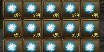 SUMMER SHELL 1000STK VIA GIFT