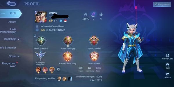 Cheap Account Skin 134 Hero 105 Max Emblem