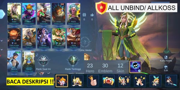 Smurf Epic Estes Account (Dragon Tamer), Zilong 515, Harith 515, Elite Silvana, 8 Emotes, cheap and cheerful (AllUnbind/ AllKoss)