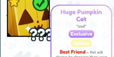Golden huge pumpkin cat