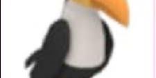 Buy Item Toucan Roblox 1610391 | itemku