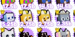 Stacked Dog Noob