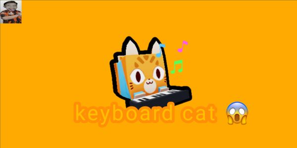 exclusive Keyboard cat