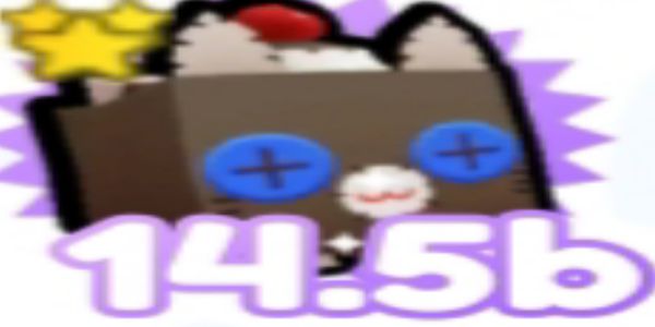 EXCLUSIVE CAT SOCK - CHEAP CHEAP