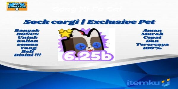 Corgi Socks | Exclusive Pet Simulator