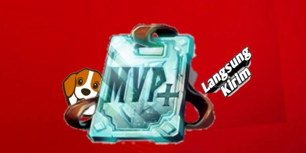 Buy Item Hypixel Store VIP Ke MVP Minecraft Most Complete And 