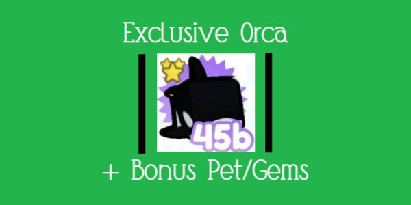 Exclusive Orca