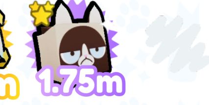 Grumpy Cat