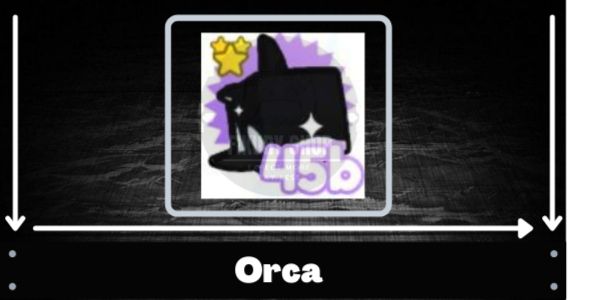 Orcas
