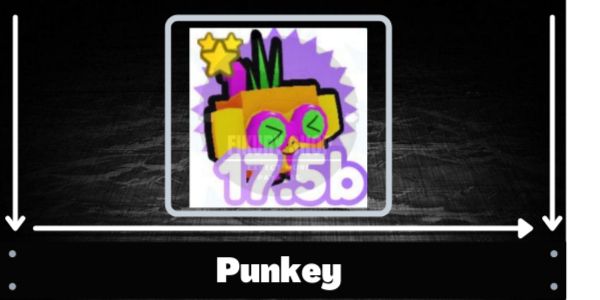 Punkey