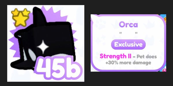 Orca Exclusive Pet | Pet Simulator