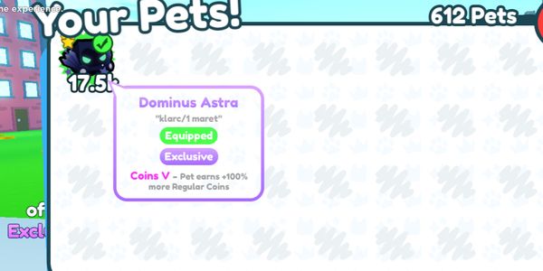Dominus Astra Exclusive pet