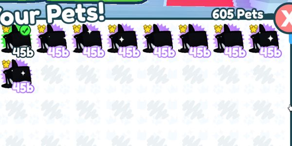 Exclusive Pet Orca