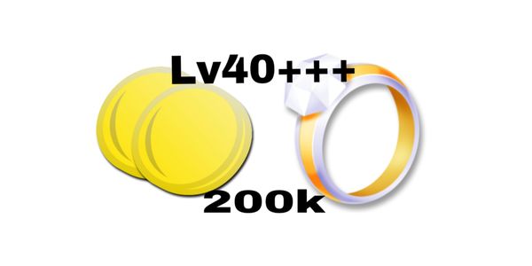 Coins 200k (Lv40+++)