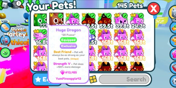 Huge Dragon Pet Simulator