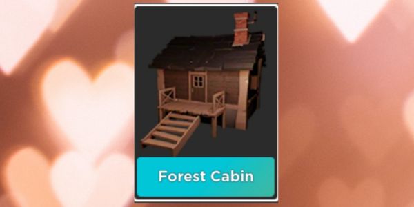 Forest Cabin - Survive The Killer