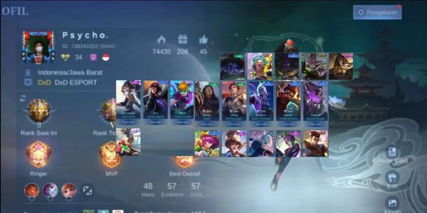 REALLY COOL CHEAP ACCOUNTS