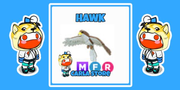 Beli Item Hawk MFR Roblox Terlengkap dan Termurah September 2024 ...