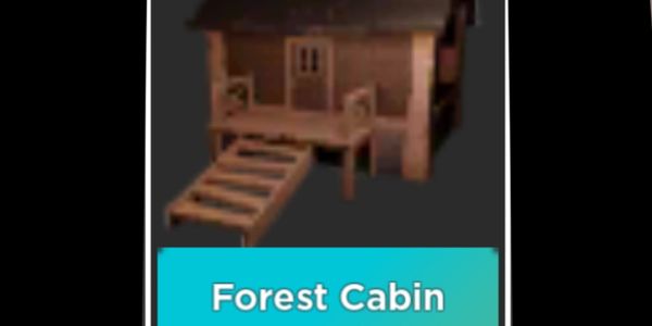 Forest Cabin Survive the killer