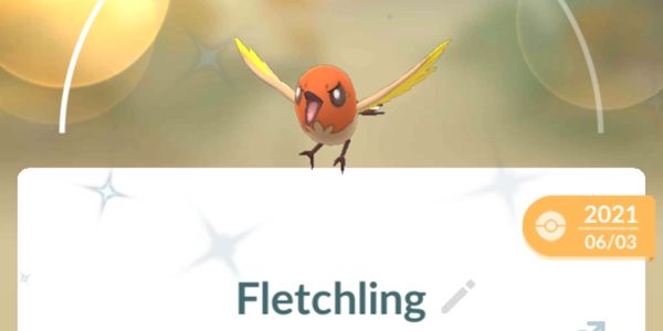 shiny fletching