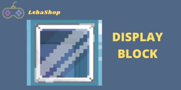 Display blocks (2 pcs)