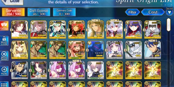 Starter Account 2 [FGO NA]