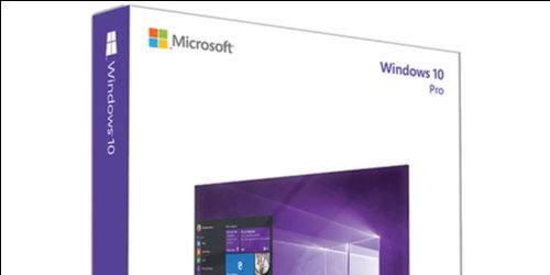 Windows 10 Professional