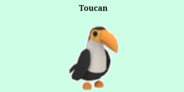 Buy Item Toucan Roblox 1985286 | itemku