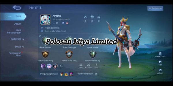 Cheap ML Account