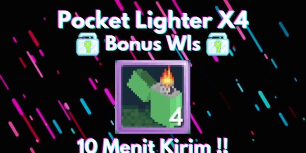 Pocket Lighter 4pcs Free Wls