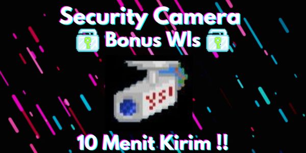 Security Camera Free Wls