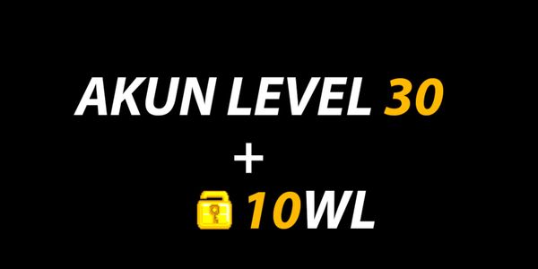 WL Bonus Level 30 Account