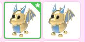 Golden Dragon Pet adopt me