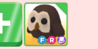 Beli Item Toasty Red Panda Adopt me Maaf Salah Gambar! Roblox