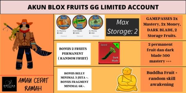 Blox Fruit GG account bergamepasses [ PORTGAS D ACE CHARACTER AVA] [DARK BLADE]