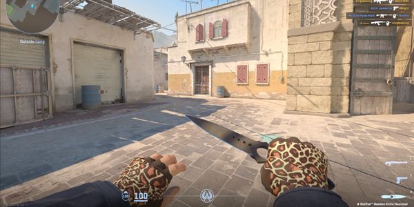 StatTrak Skeleton Knife Scorched (Well-Worn)