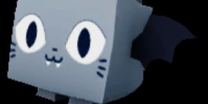 scary cat